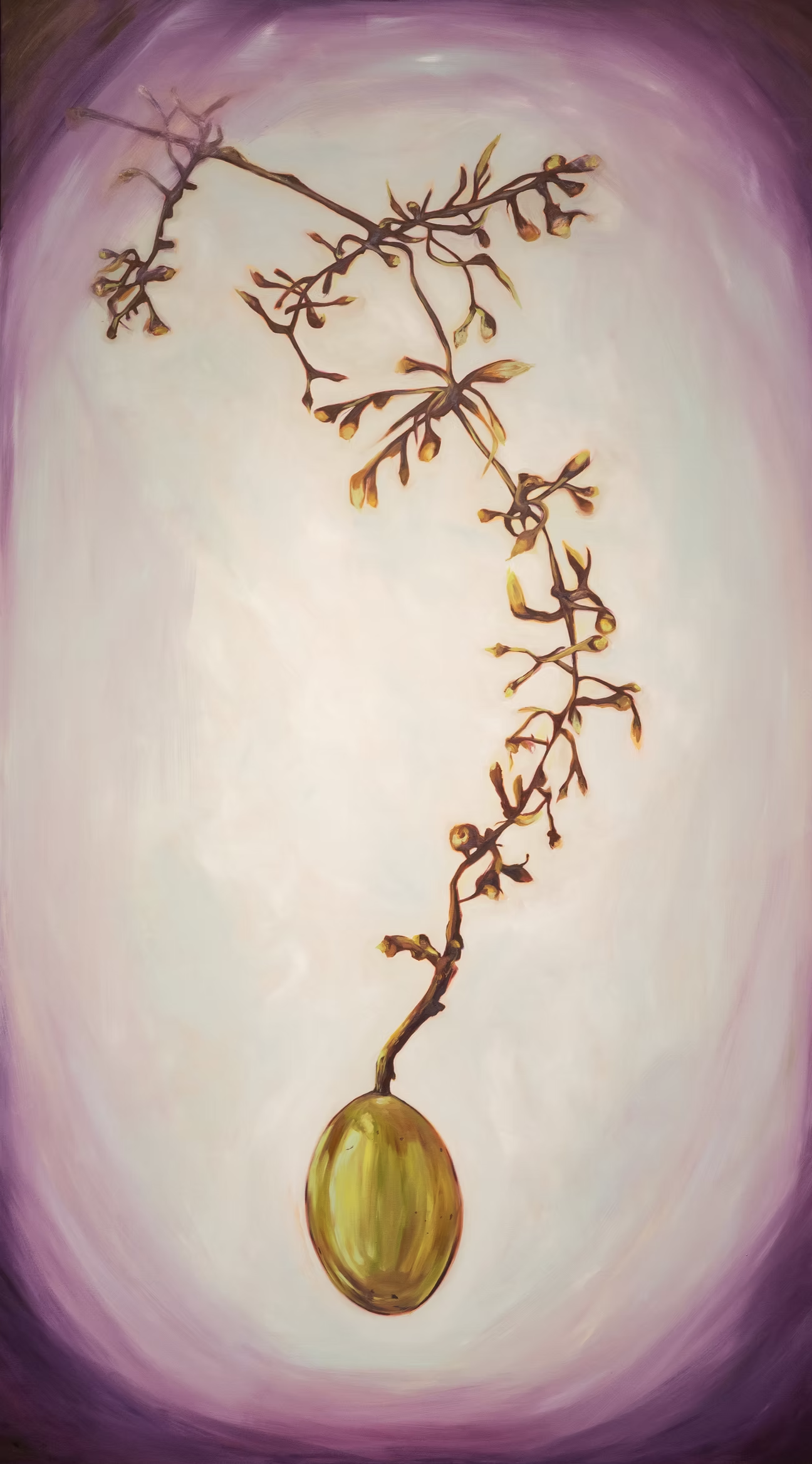 Alice Dote, selected painting of suspended fruit and branching growth by CASCA Archive artist, approved editorial image