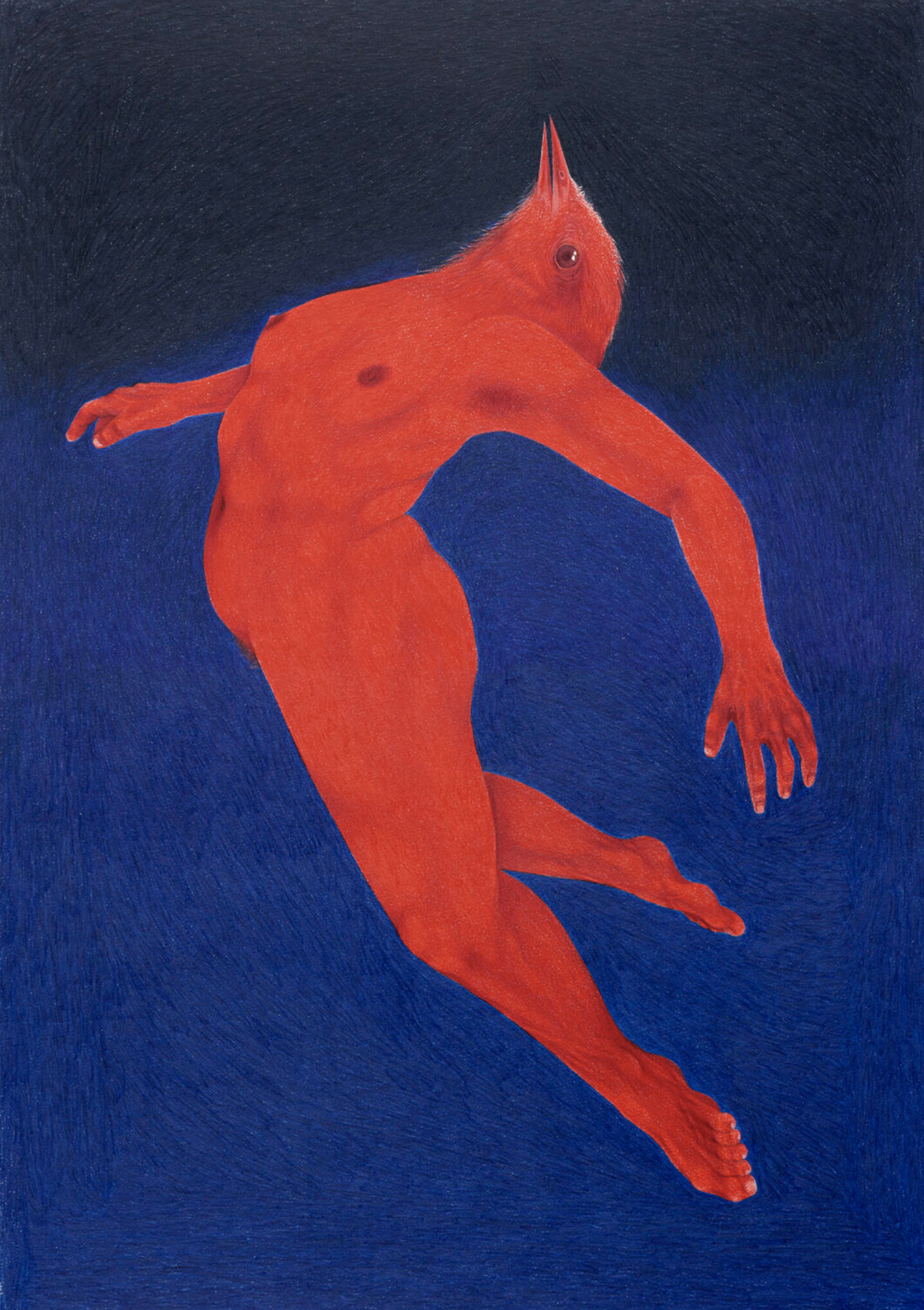 Clara Moreira, selected work (2) by CASCA Archive artist, approved editorial image
