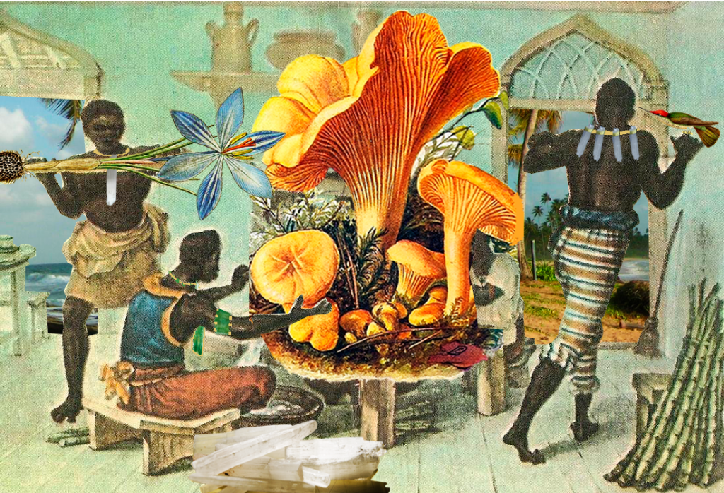 Gê Viana, selected collage with mushroom table, colonial interior, coastal fragments, crystals, and botanical forms by CASCA Archive artist, approved editorial image