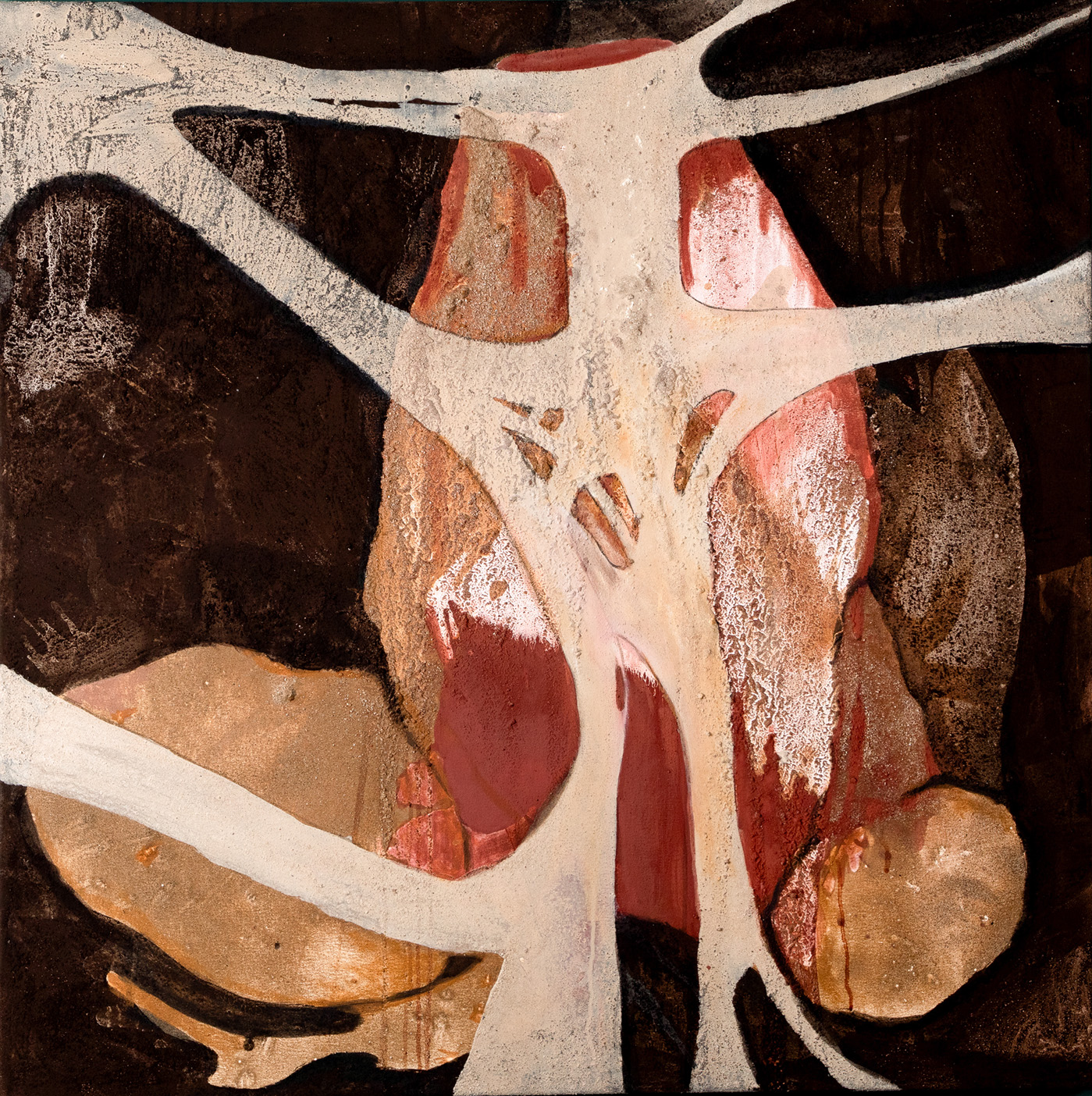 Cover image for: Marlene Almeida et les veines de la Terre, Peintes en pigment naturel